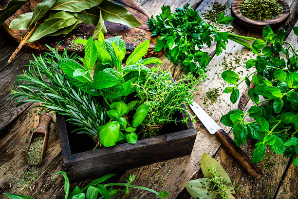 Buy Natural Apothecary Products
